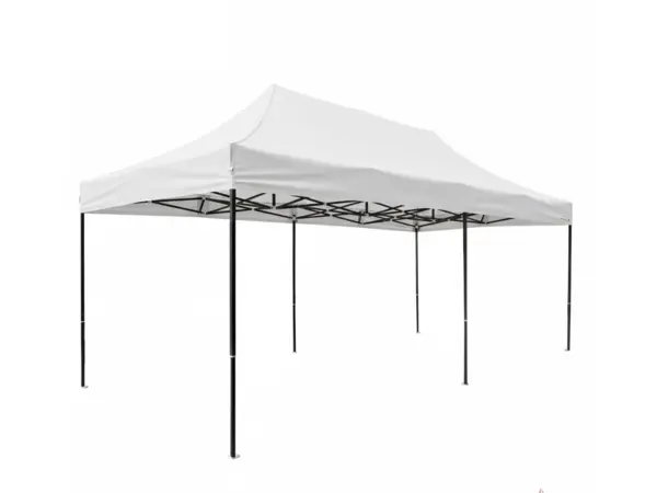 Barnum 3×6 m format réception, location près de Nantes